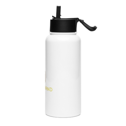 Stainless steel water bottle with a straw lid